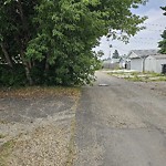 Overgrown Trees - Public Property at 7515 137 Avenue NW