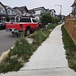 Park Grass Maintenance at 2083 Price Landing SW