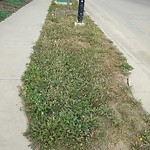 Park Grass Maintenance at 6619 Knox Place SW