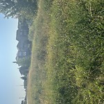 Park Grass Maintenance at 952 173 St Sw, Edmonton T6 W 1 Z5