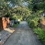 Overgrown Trees - Public Property at 6207 128 Street NW