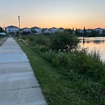 Noxious Weeds - Public Property at 15616 88 Street NW