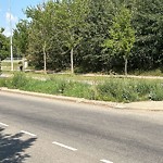 Noxious Weeds - Public Property at 613 Howatt Drive SW