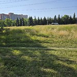 Park Grass Maintenance at 2910 109 Street NW