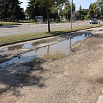 Pooling water due to Depression on Road at 9415 165 Street NW