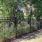 Overgrown Trees - Public Property at 10425 99 Avenue NW