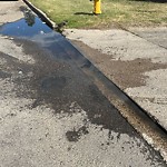 Pooling water due to Depression on Road at 9727 47 Avenue NW