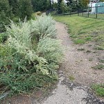 Shared Use Path - Walk/Bike/Run/Scoot/Blade at 2803 34 Avenue NW