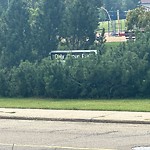 Overgrown Trees - Public Property at 1830 37 Street NW