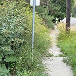 Sidewalk Concern at 9834 100 Street NW