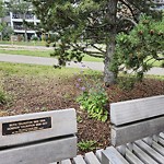 Noxious Weeds - Public Property at 10545 Fort Hill NW