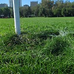 Park Grass Maintenance at 9100 Walterdale Hill NW