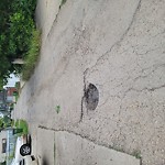 Potholes at 11110 71 Ave Nw, Edmonton T6 G 0 A4