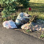 Shared Use Path - Walk/Bike/Run/Scoot/Blade at 11018 60 Avenue NW