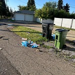 Overflowing Garbage Cans at 5204 97 A Avenue NW