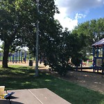 Overgrown Trees - Public Property at 10503 60 A Avenue NW