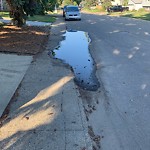 Pooling water due to Depression on Road at 3496 87 Street NW