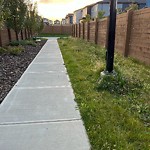 Park Grass Maintenance at 3520 6 Avenue SW