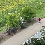 Shared Use Path - Walk/Bike/Run/Scoot/Blade at 10520 120 Street NW