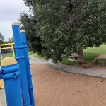 Overgrown Trees - Public Property at 5523 122 Avenue NW