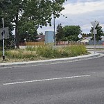 Noxious Weeds - Public Property at 816 Lee Ridge Road NW