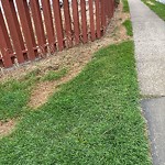 Park Grass Maintenance at 4503 25 Avenue NW