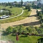 Park Grass Maintenance at 308 Hudson Bend NW