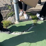 Structure/Playground Maintenance at 6110 95 Avenue NW