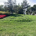 Park Grass Maintenance at 9626 96 A Street NW