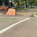 Shared Use Path - Walk/Bike/Run/Scoot/Blade at 10403 83 Avenue NW