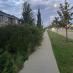 Trails at 17531 13 Avenue SW