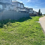 Noxious Weeds - Public Property at 4867 Kinney Road SW