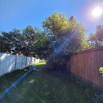 Overgrown Trees - Public Property at 8608 18 Avenue NW