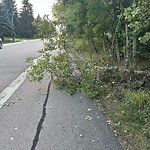 Shared Use Path - Walk/Bike/Run/Scoot/Blade at 12607 Grand View Drive NW