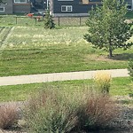 Park Grass Maintenance at 690 Cy Becker Drive NW