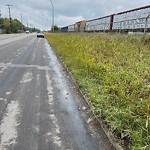 Park Grass Maintenance at 13205 142 Street NW