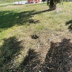 Structure/Playground Maintenance at 8624 107 Street NW