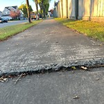 Sidewalk Concern at 1009 79 Street SW