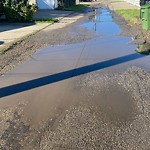 Pooling water due to Depression on Road at 9541 73 Avenue NW