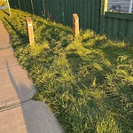 Park Grass Maintenance at 2334 Hagen Link NW