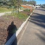 Noxious Weeds - Public Property at 9820 170 Avenue NW