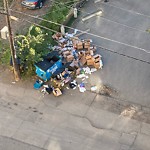 Overflowing Garbage Cans at 10172 113 Street NW