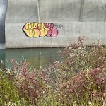 Graffiti Public Property at 15515 Whitemud Road NW