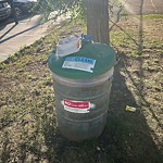 Overflowing Garbage Cans at 10523 84 Avenue NW