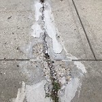 Sidewalk Concern at 1712 Bowness Wynd SW