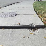 Sidewalk Concern at N53.59 E113.43