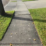 Sidewalk Concern at N53.47 E113.41