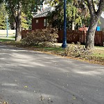 Tree/Branch Damage - Public Property at 9525 98 Avenue NW