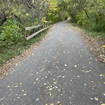 Shared Use Path - Walk/Bike/Run/Scoot/Blade at 9303 98 Street NW