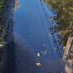 Pooling water due to Depression on Road at 11572 80 Avenue NW